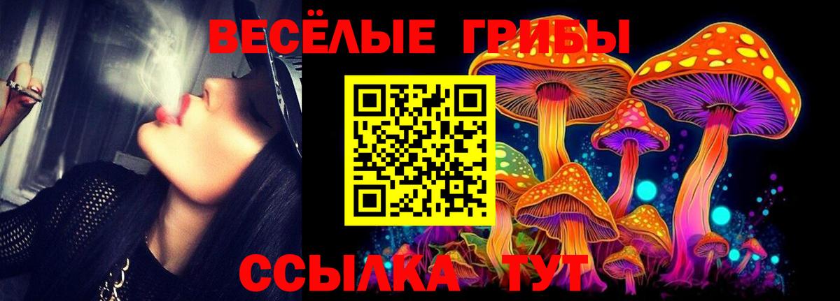 Псилоцибиновые грибы GOLDEN TEACHER Хасавюрт